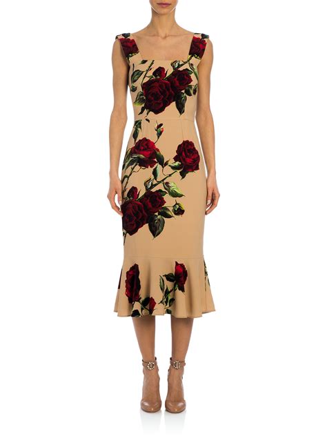 dolce gabbana roses dress|Dolce & Gabbana flower dress.